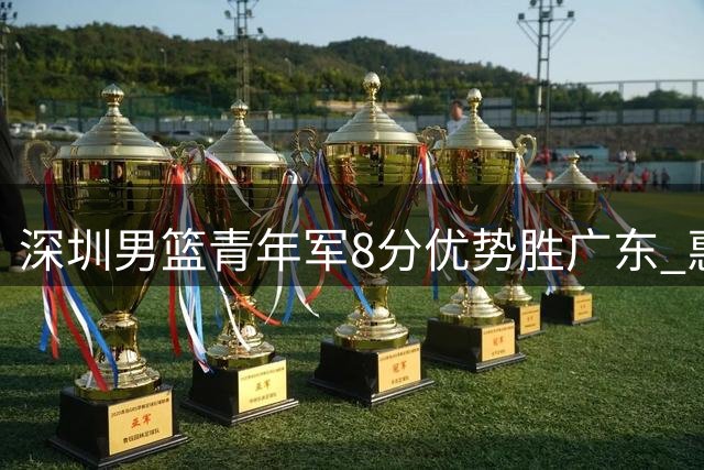 深圳男篮青年军8分优势胜广东 惠州再战蓄势待发